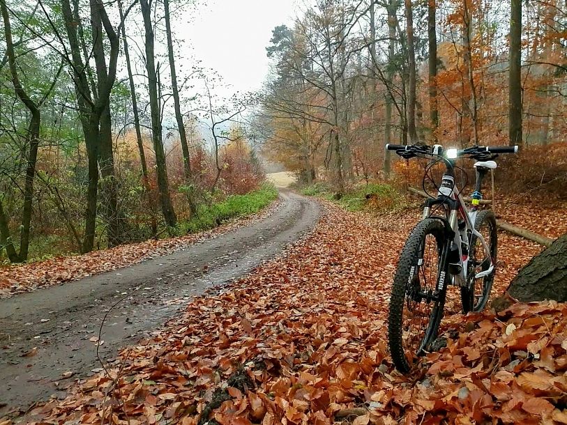 Povinná výbava jízdního kola