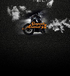 Multifunkční šátek Suspect Animal Rider Lady