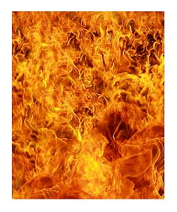 Pánské funkční trenýrky Suspect Animal GHOSTRIDER černá Bamboo Ultra