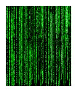 Pánské funkční trenýrky Suspect Animal MATRIX černá Bamboo Ultra