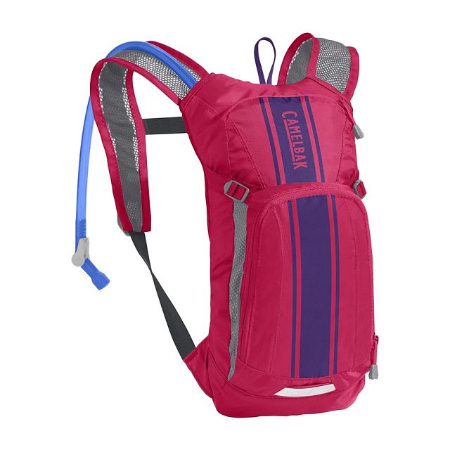 Dětský batoh CamelBak Mini MULE Hot Pink/Purple Stripe 3l